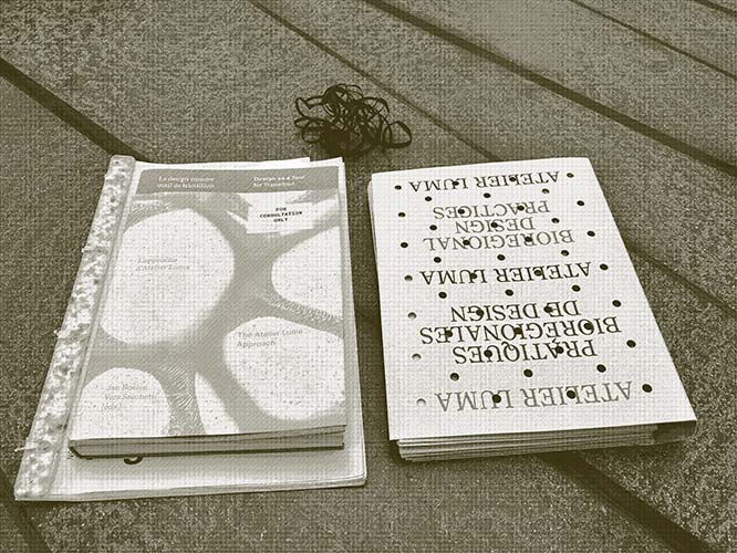 Alt Text